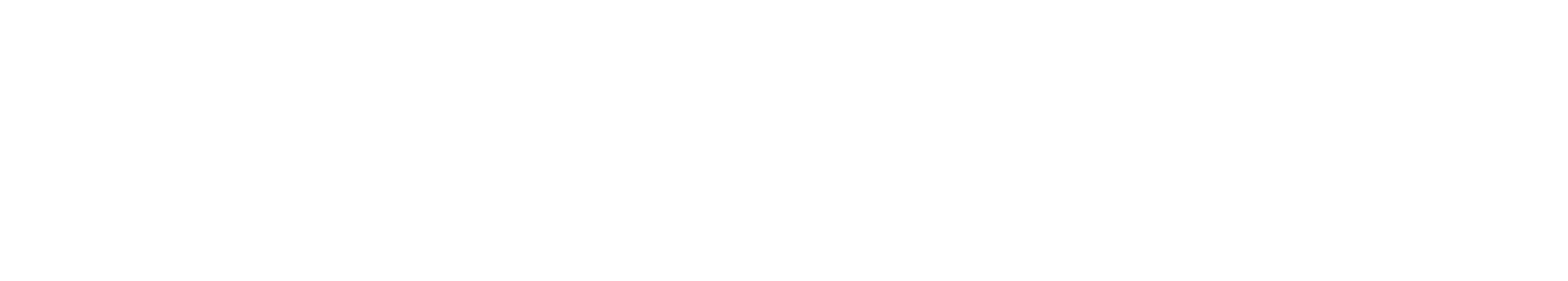 Manuel Salvador | WEB UX UI Designer